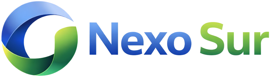 NexoSur Logo